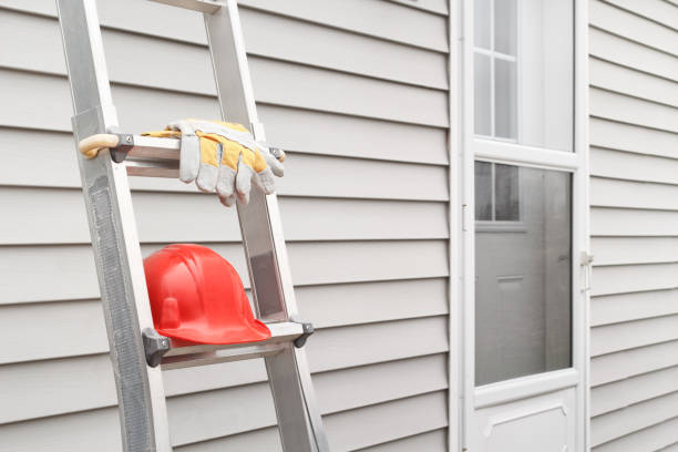 Best Hoarding Cleanup  in Wellsville, MO