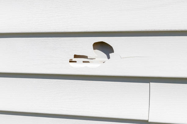 Trusted Wellsville, MO Junk Removal Experts